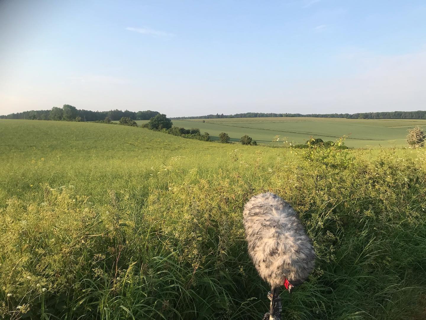 Recording Skylarks (and an ✈️ or 2) for the @britishlibrary &lsquo;Larks Ascending&rsquo; call for sounds in collaboration with @wildlife_sound. The first song heard at 3h04am ➡️ sound on for last slide 🎶

#fieldrecording #wildlifesound #locationsou