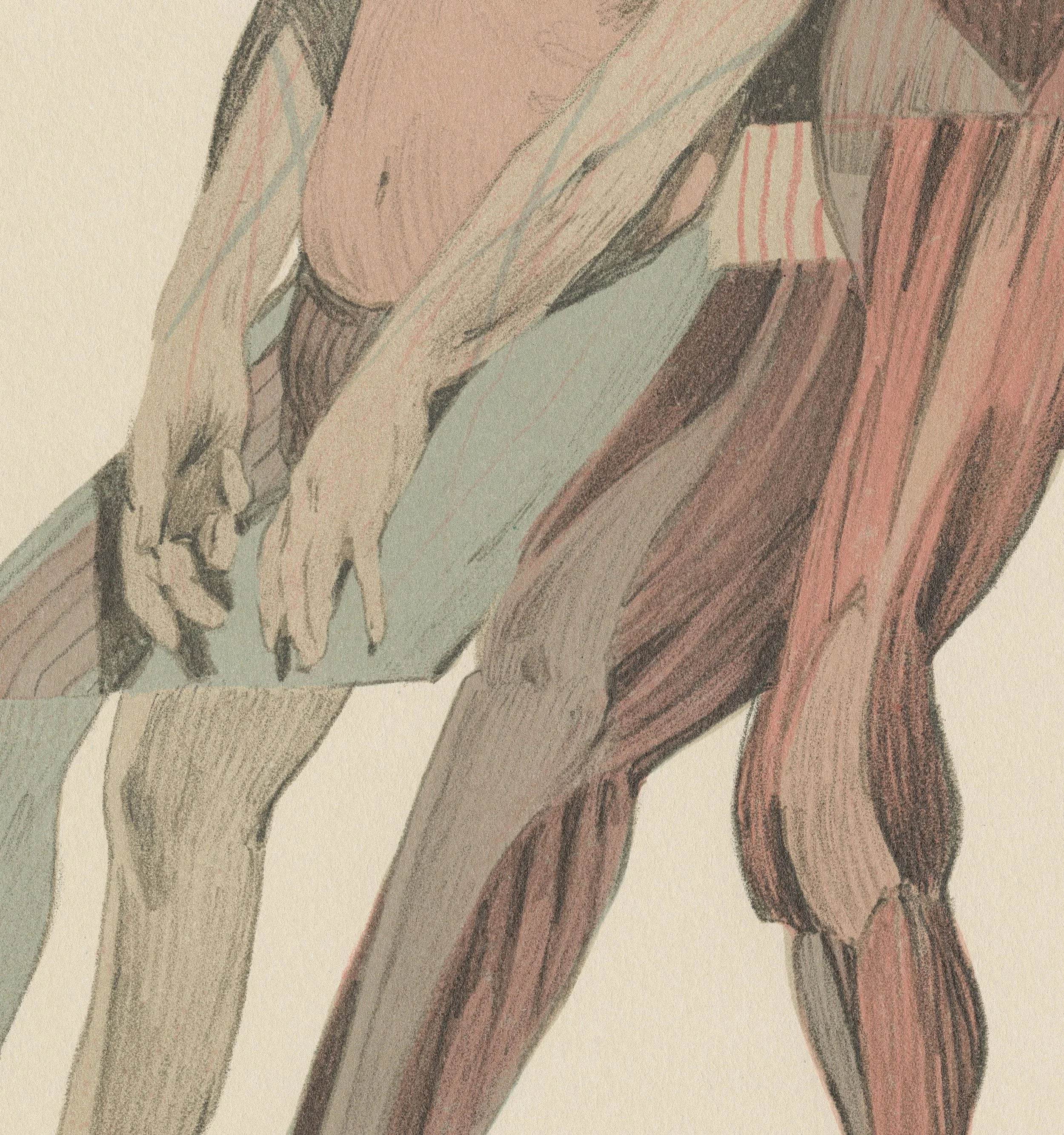 vellesa-detail-01.jpg