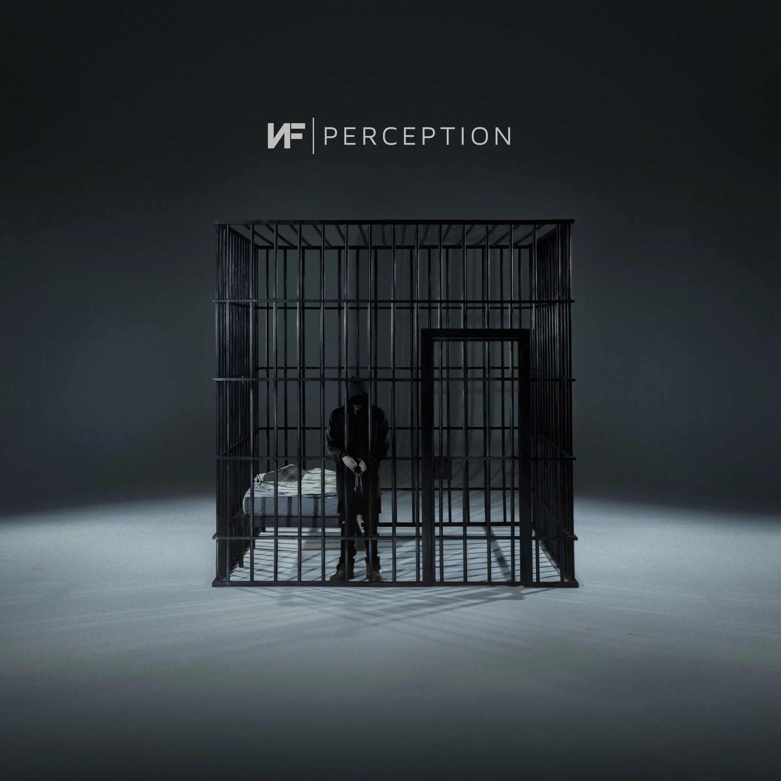 NF_Perception_CVR.jpg