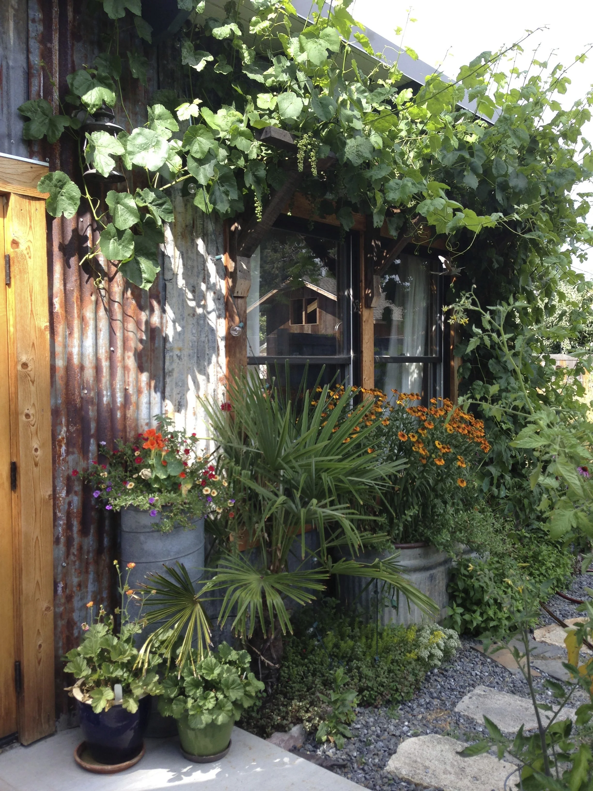 Patio Area.jpg