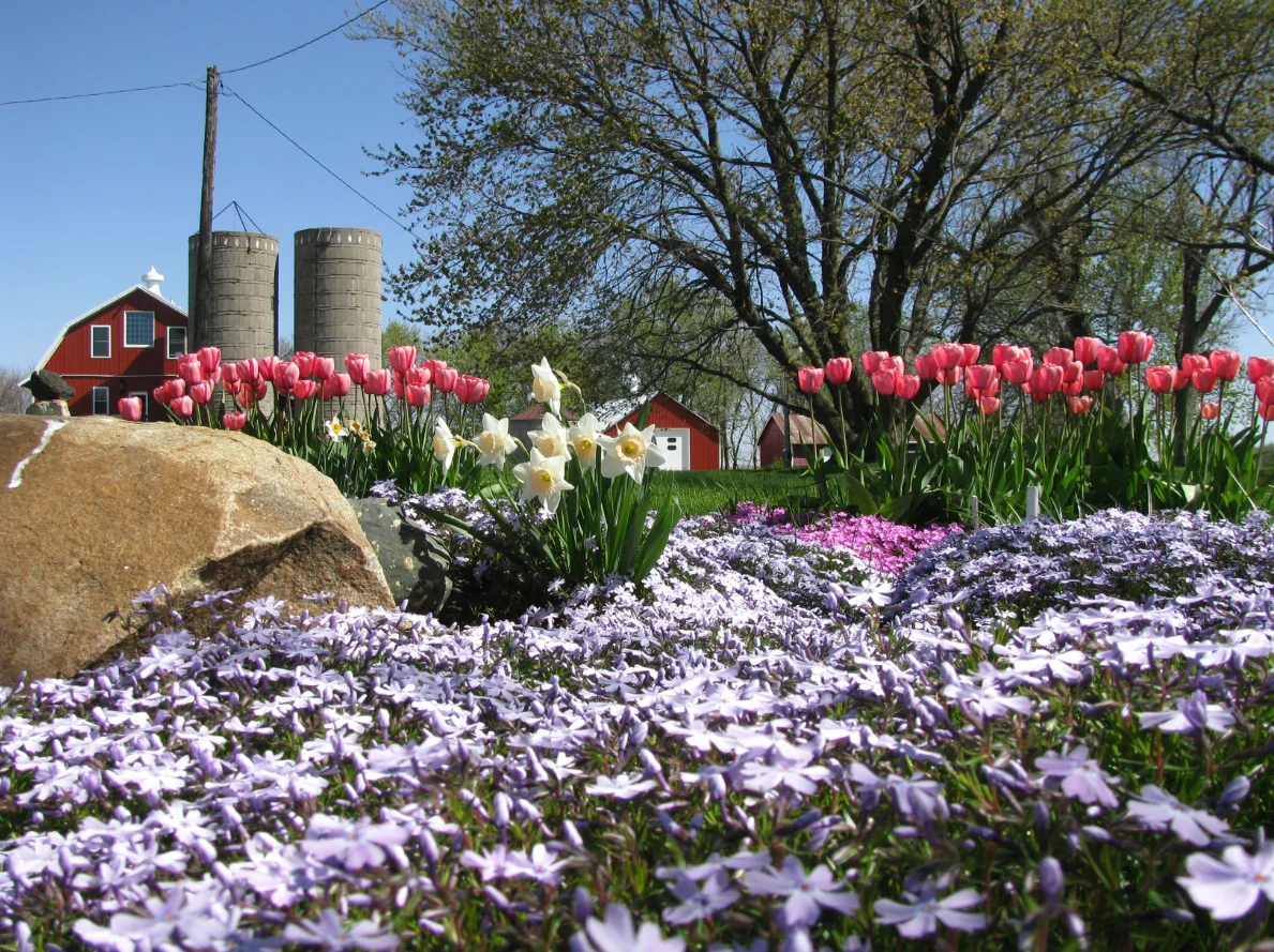 Spring has Sprung at the Johnson Farm!