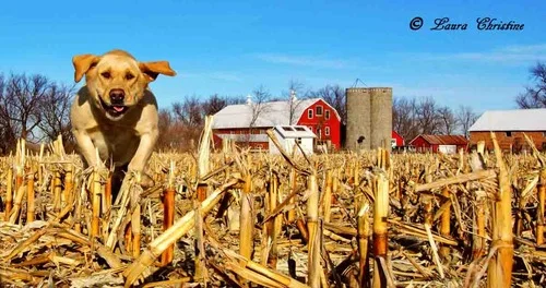 New Music Comin' Soon!