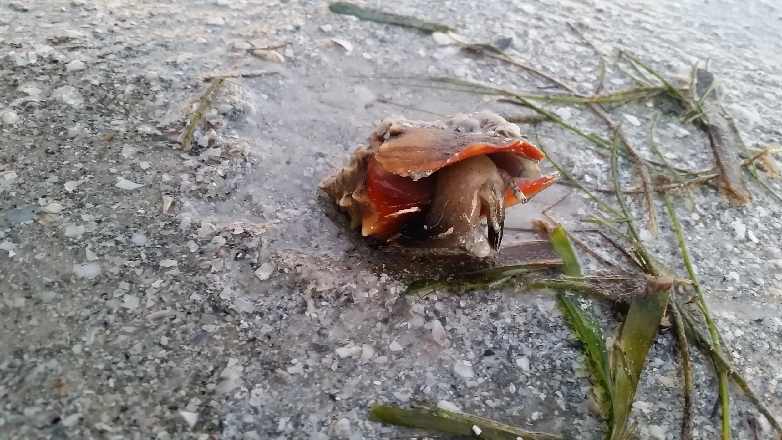 20160904_194642.jpg