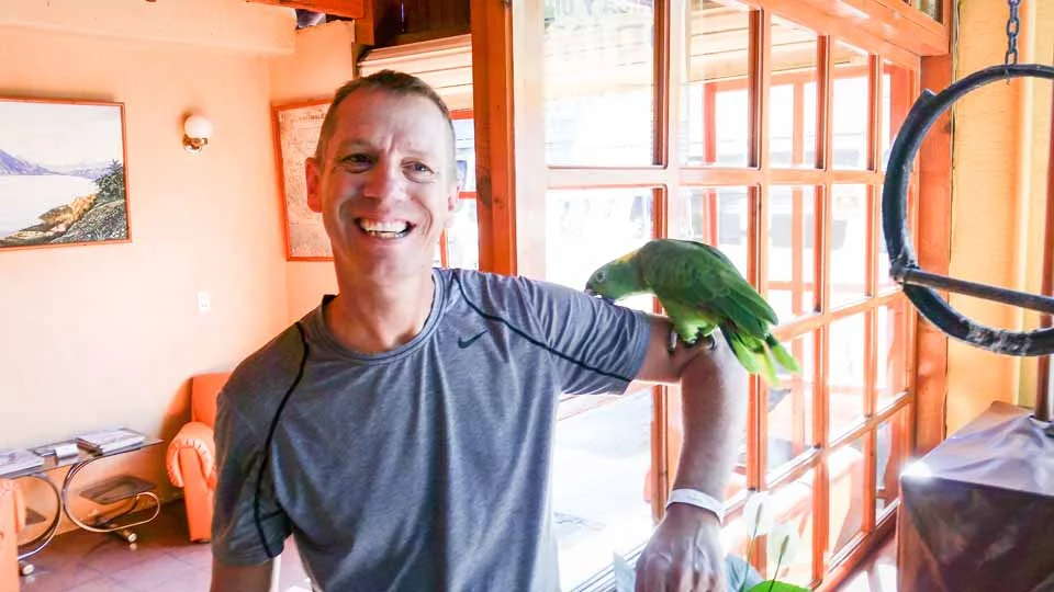 The hotel parrot thought TJ was tasty, but maybe a mite too tough...
