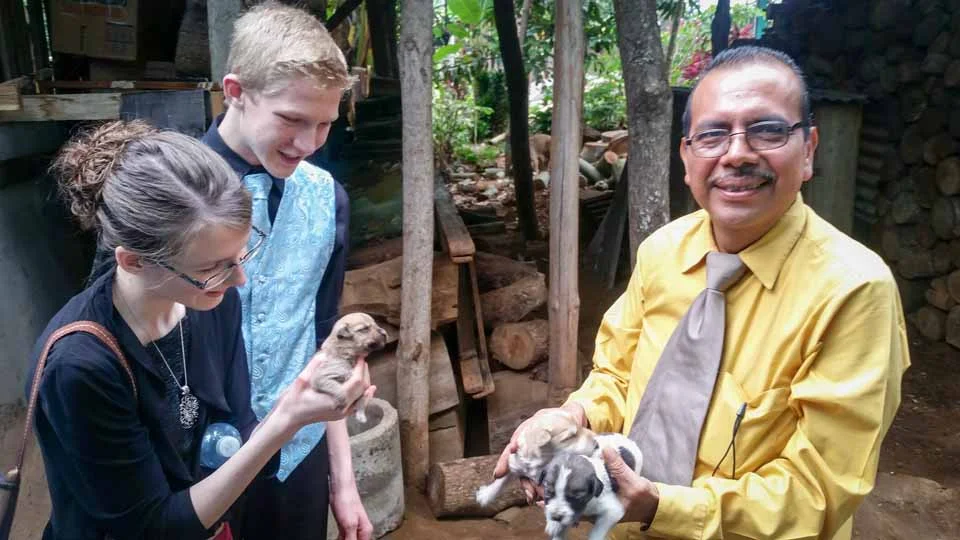 This pastor had puppies!