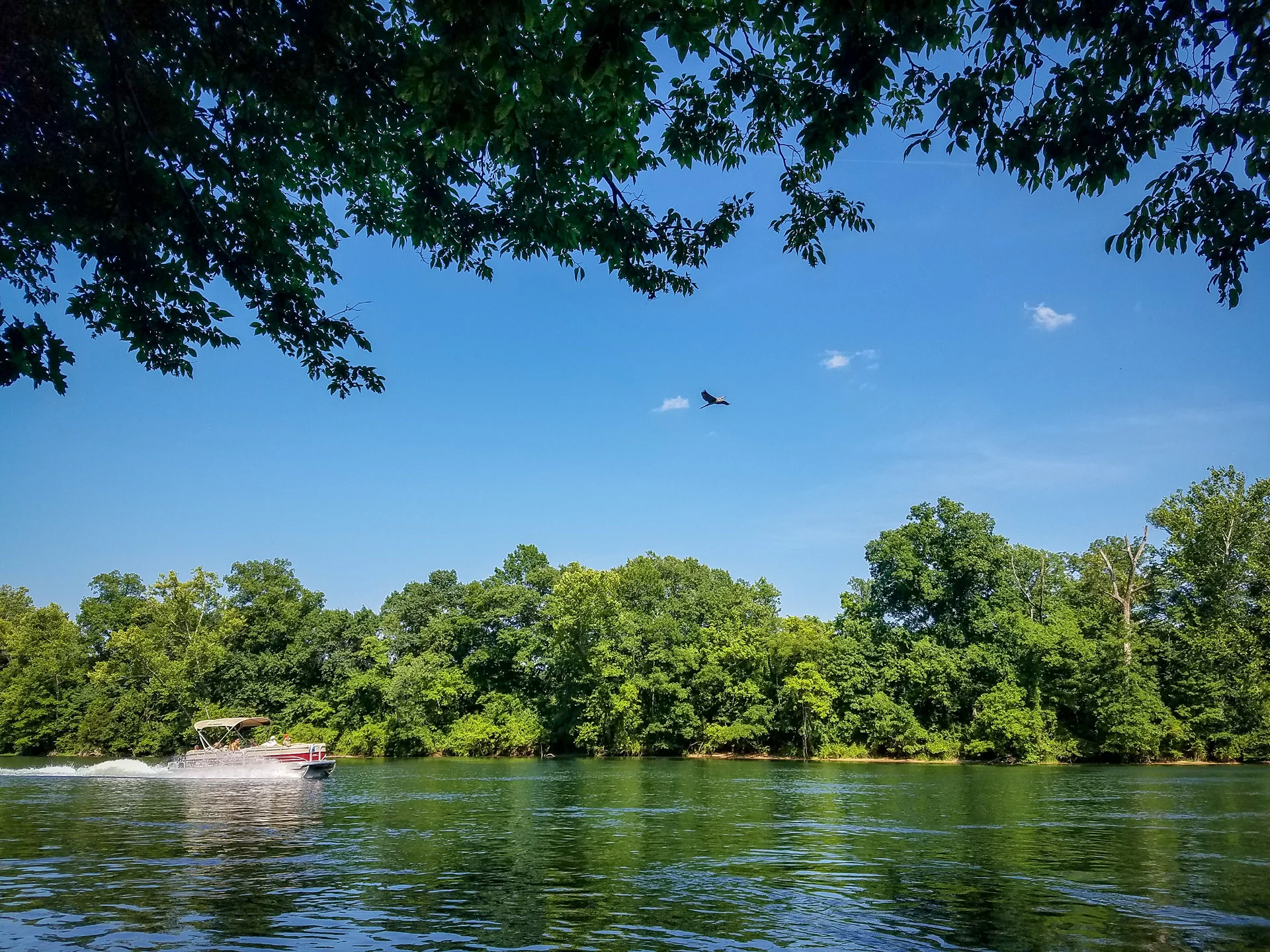 Best Hiking in Branson Lakeside Forest Wilderness Area — The Johnson