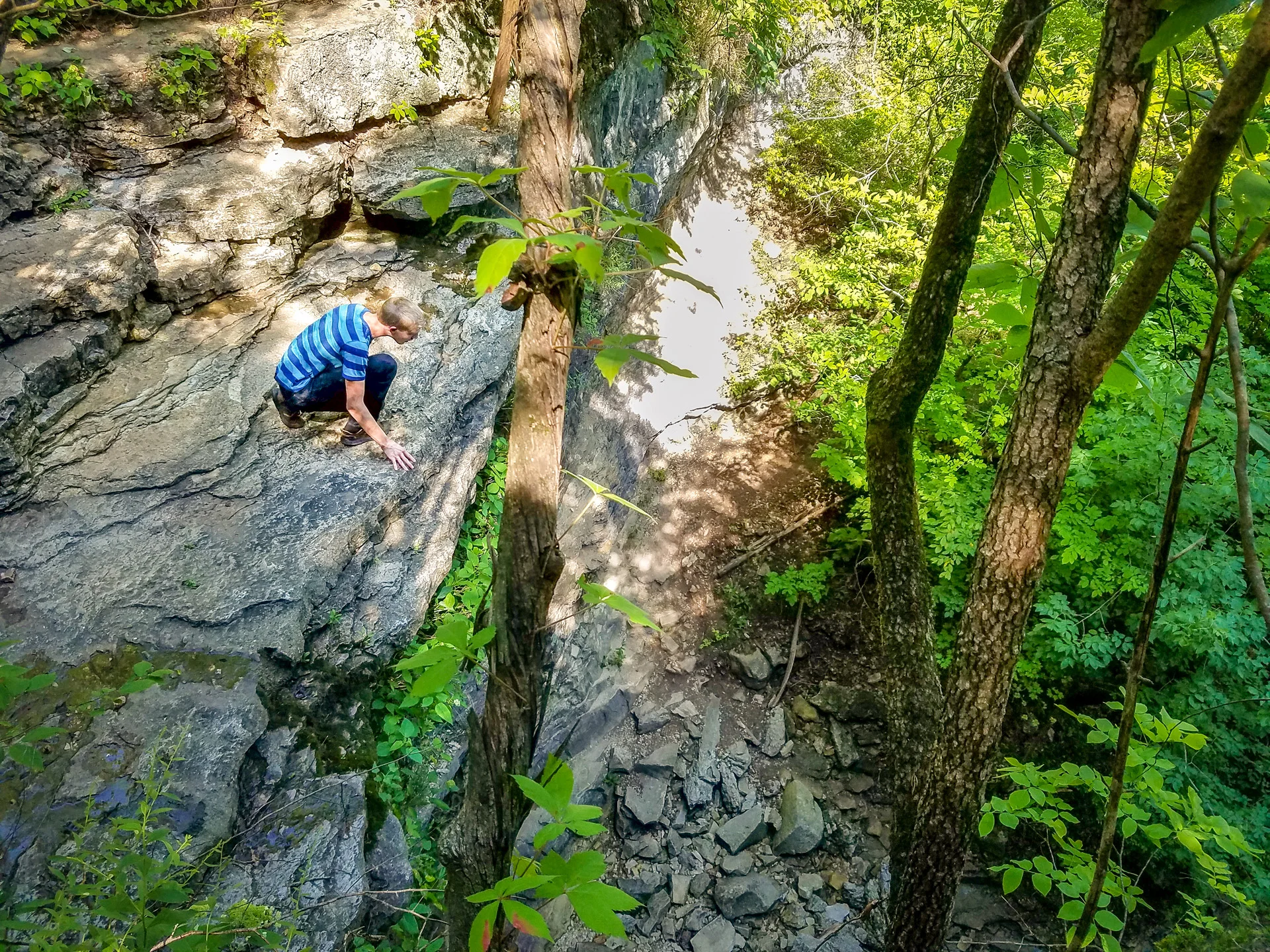 Lakeside forrest wilderness area Branson MO (5).jpg