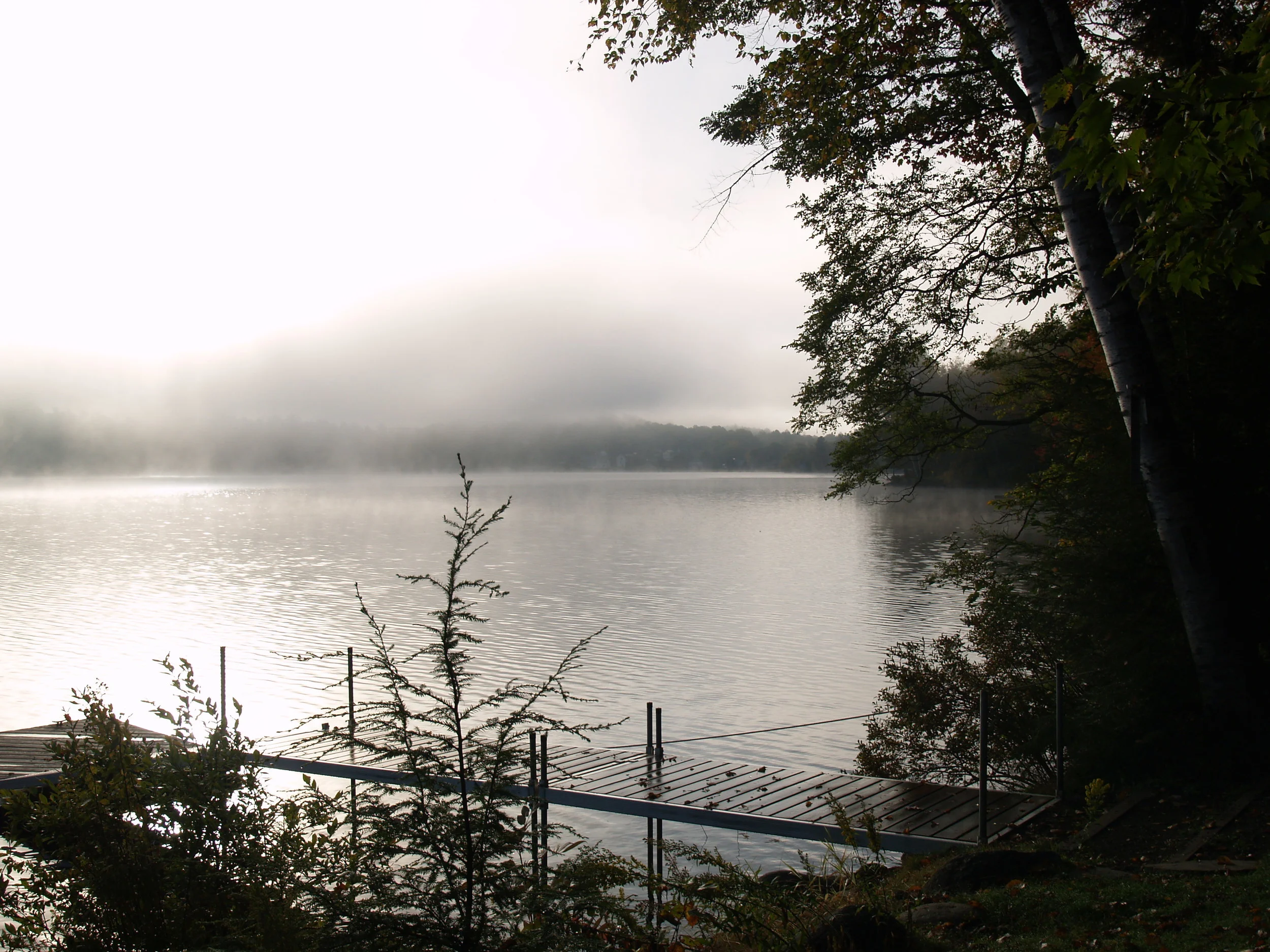 Early Morning on Wilson Lake