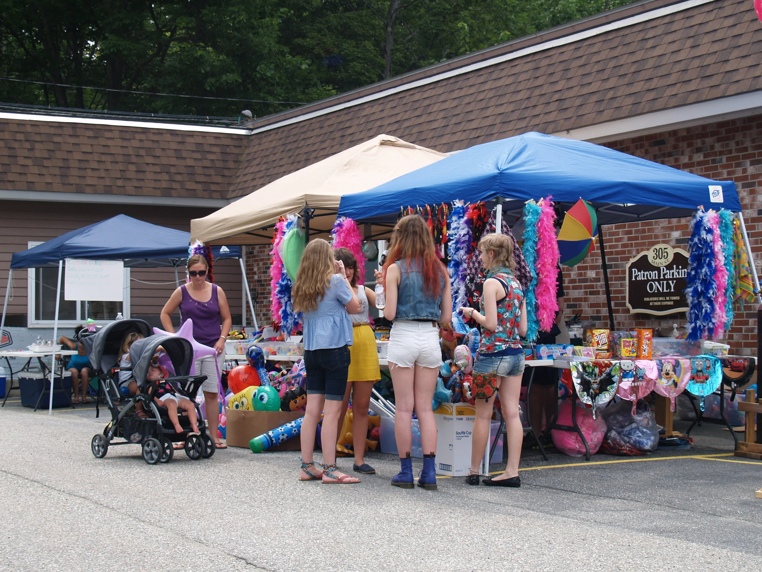 Wilton Blueberry Festival