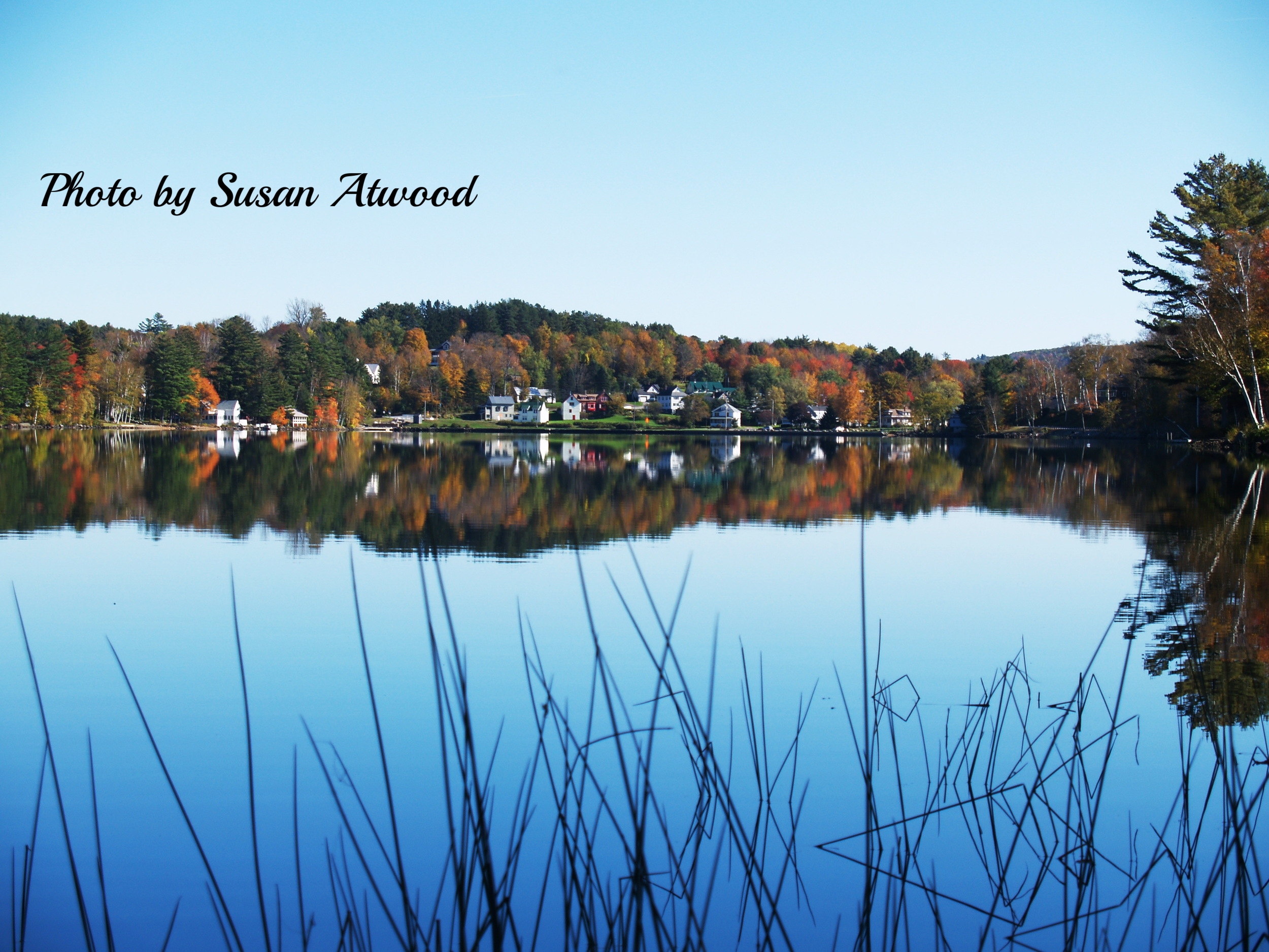 Wilson Lake Wilton, Maine photos by Susan Atwood — Friends of Wilson Lake