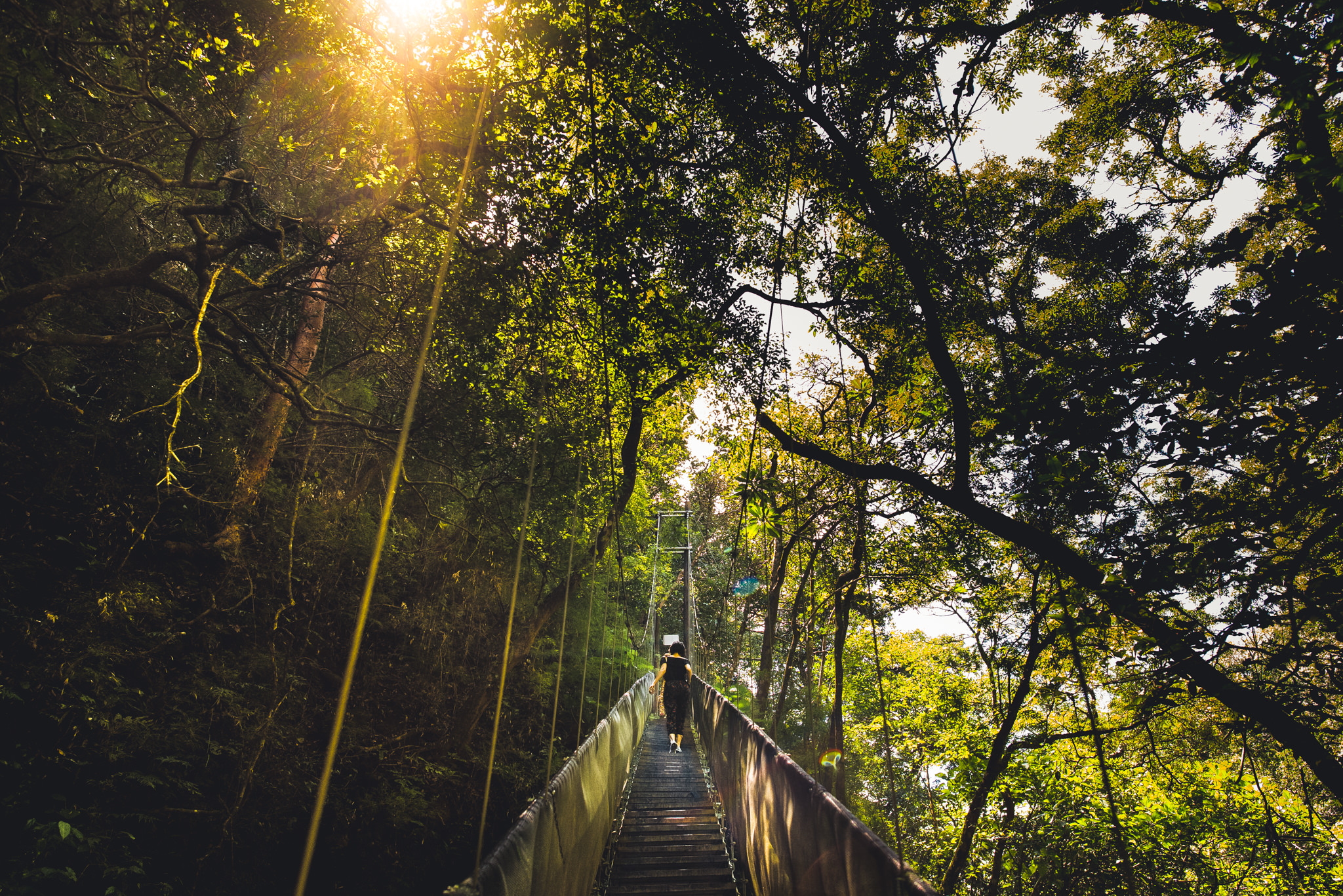 Jungle bridge in Costa Rica.