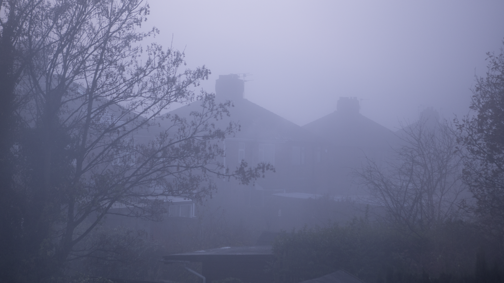 scenic-misty.png
