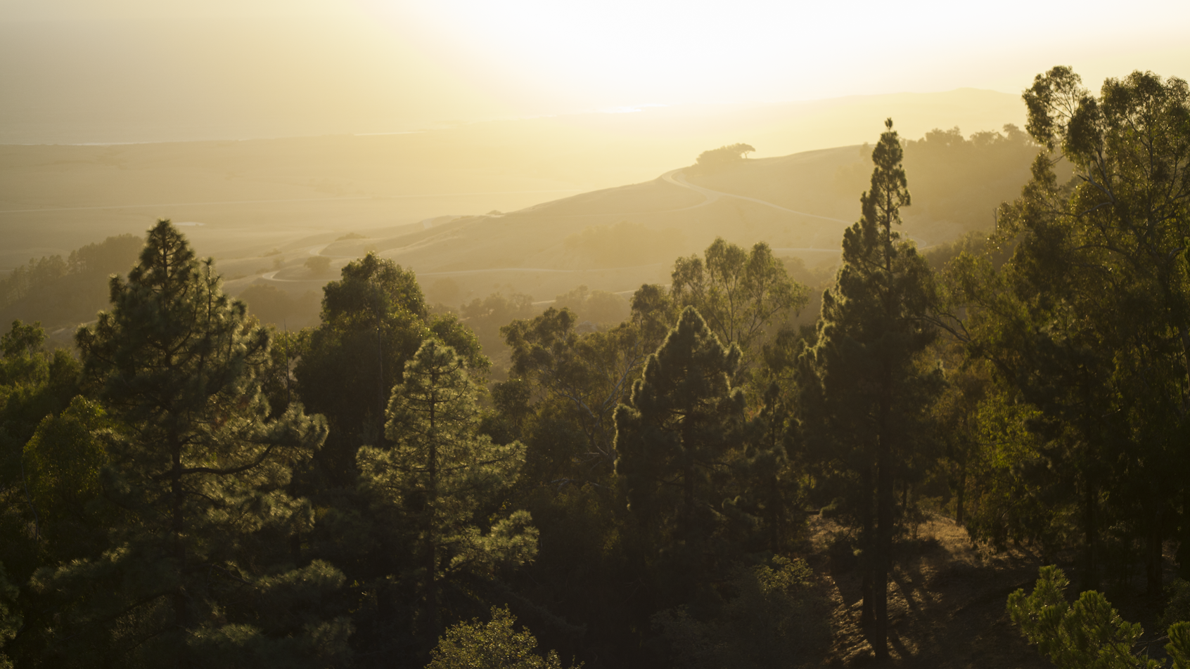 scenic-hearst.png