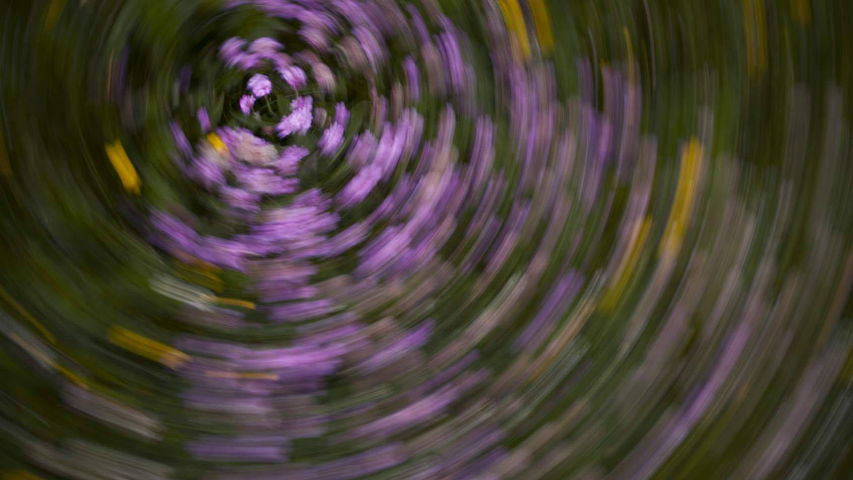 misc-twist.png