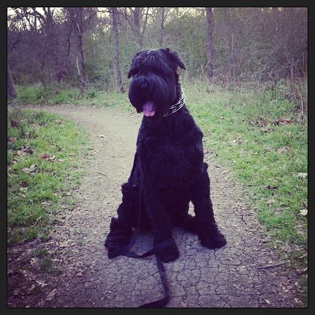 Parker