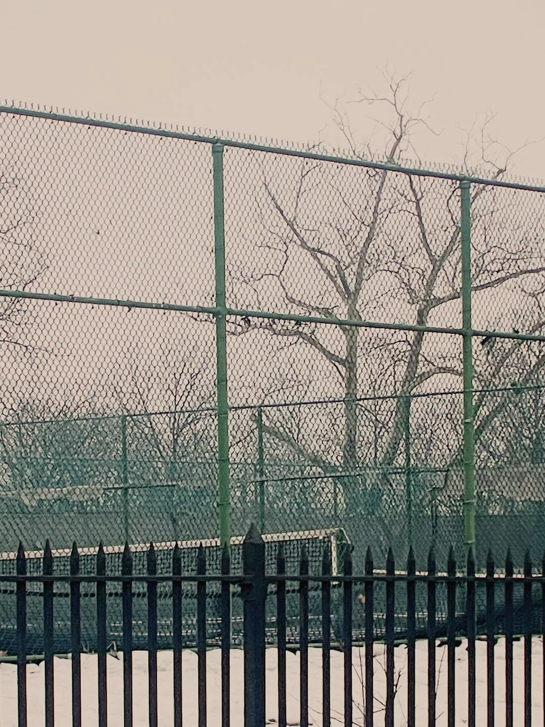Looking forward to outdoor tennis! 
.
.
.
.
.
.
#brooklyn
#bayridge 
#tennis