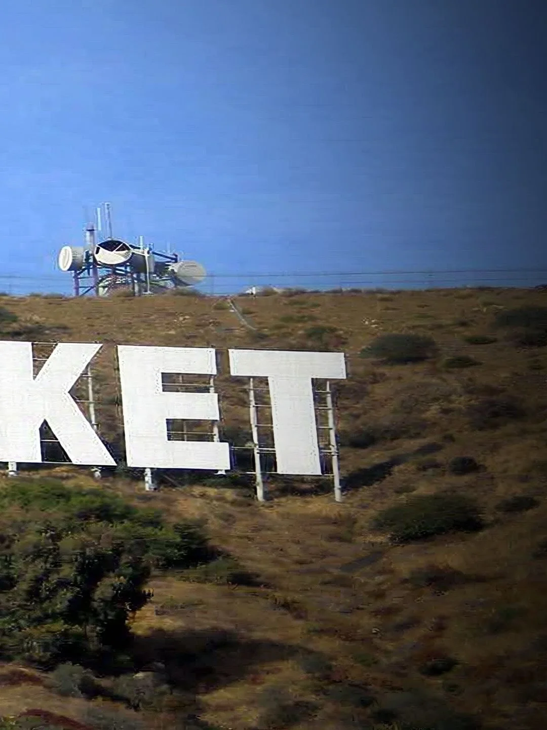 Reminiscing about our time in CA. We need some of that weather. 
#teamweltpocket 
#hollywood 
#weltpocket