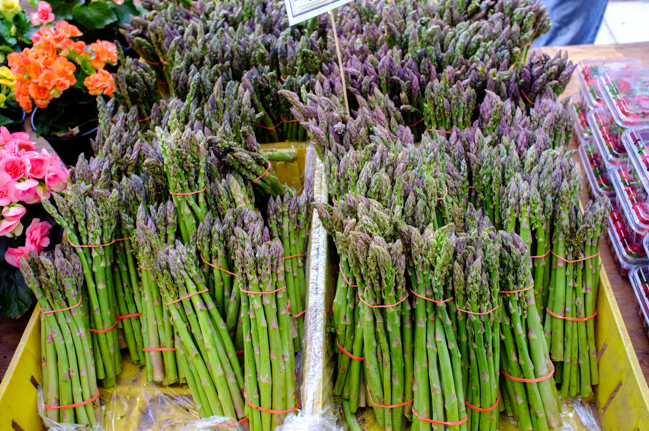 Farmers' Market Finds (+ Asparagus & Egg with Lemon Zest & Parmesan Cheese Recipe)