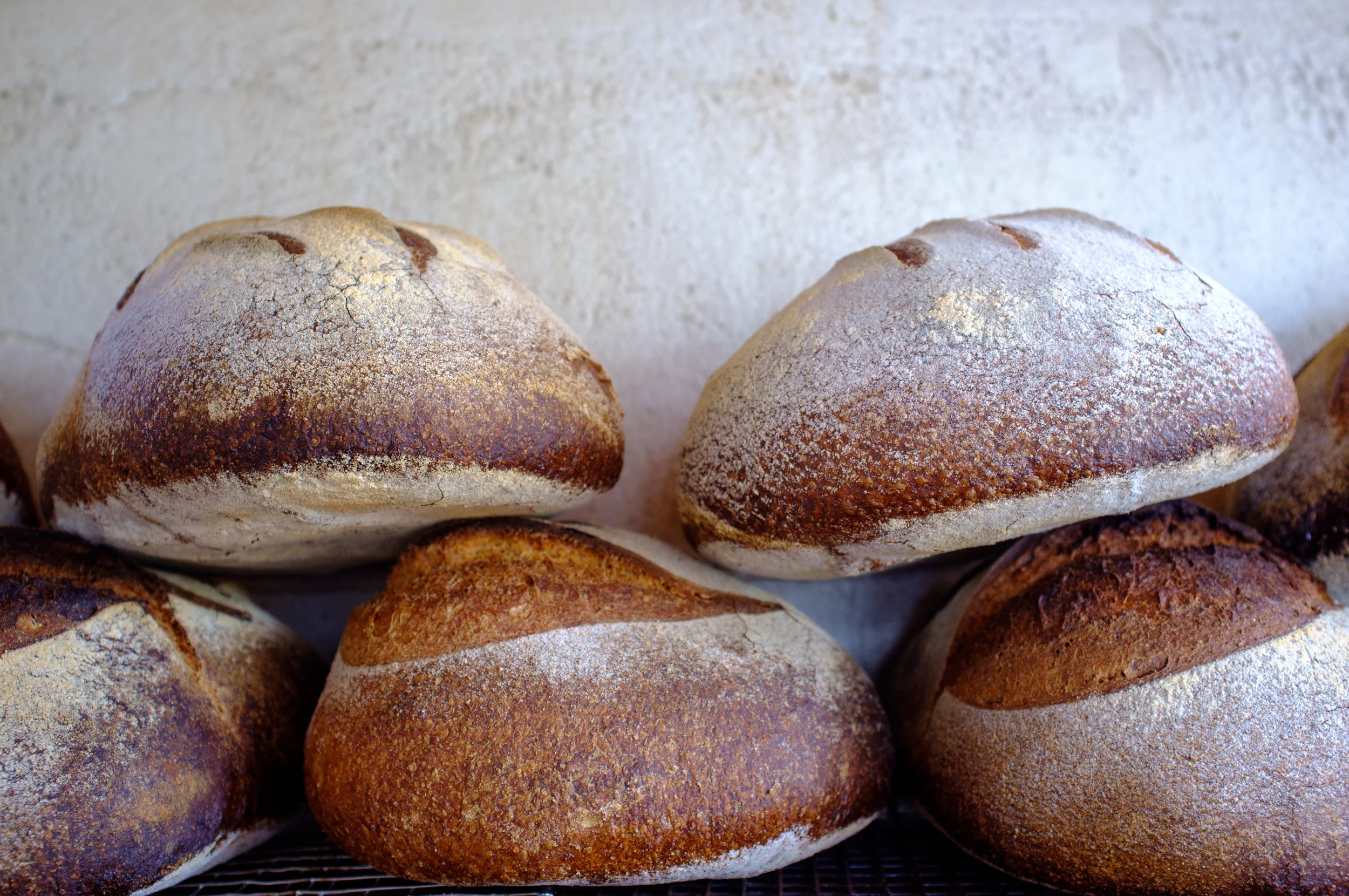 Sourdough bread from the wood-burning oven