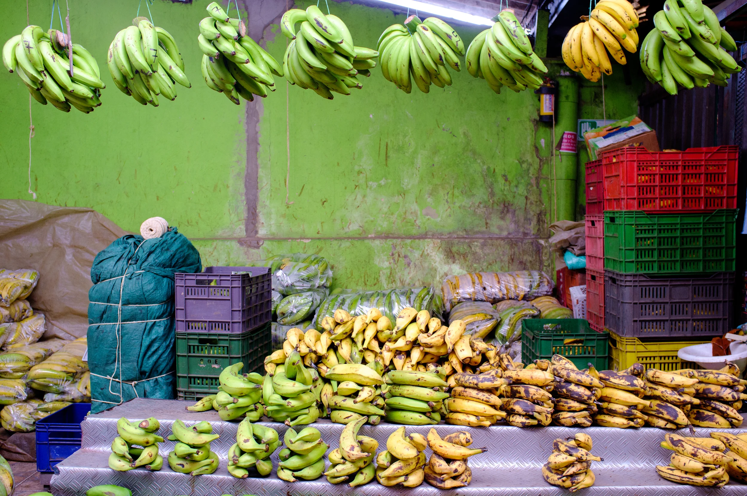 Plantains at Mercado de Paloquemao