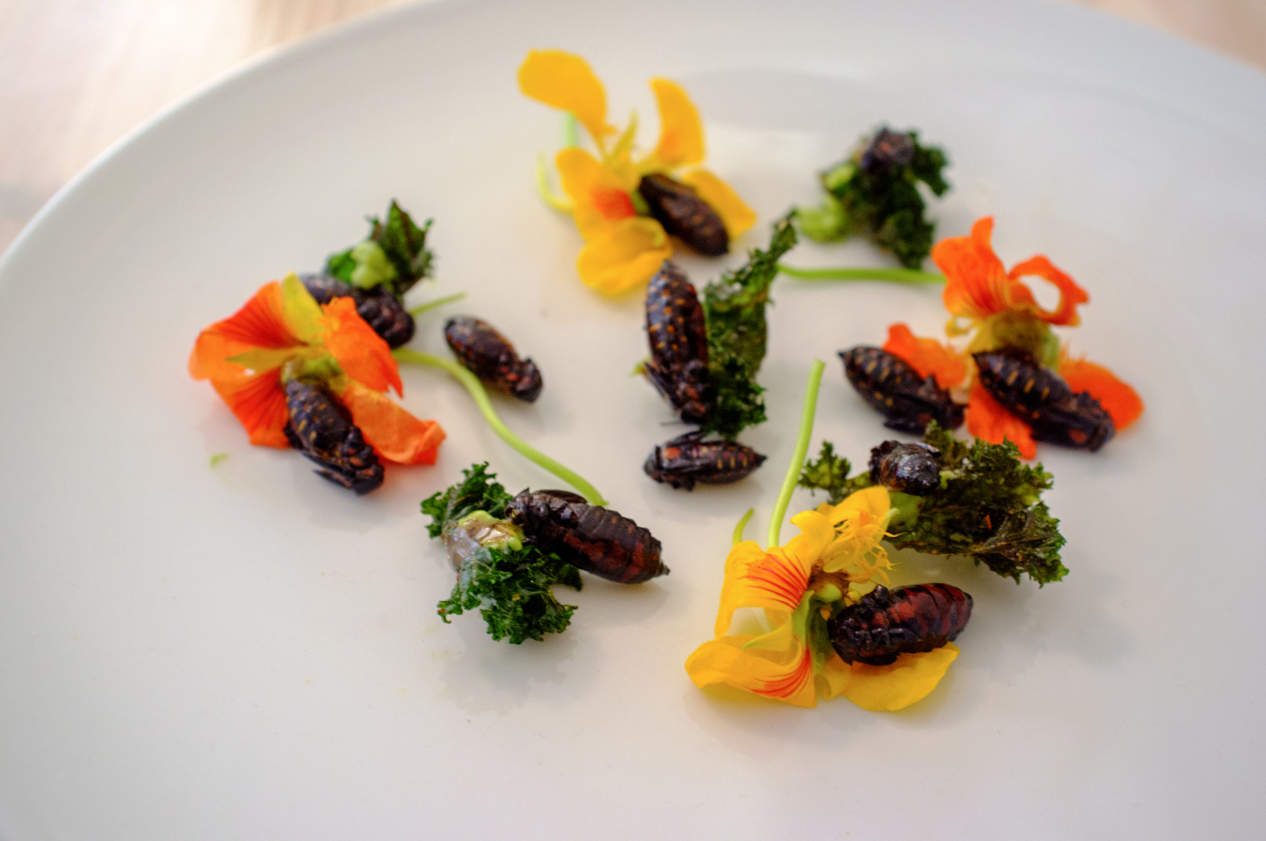 Cocopaches, flor de mastuerzo, kale y aguacte at Rosetta