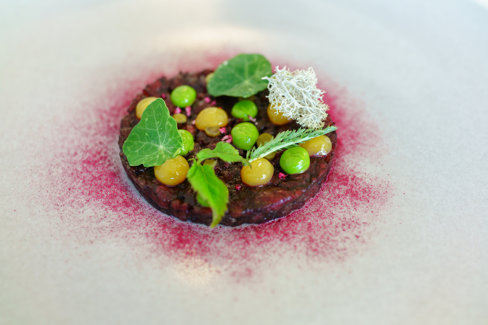 Elk meat from the forests of Saaremaa, damson stalks, cladonia, black garlic