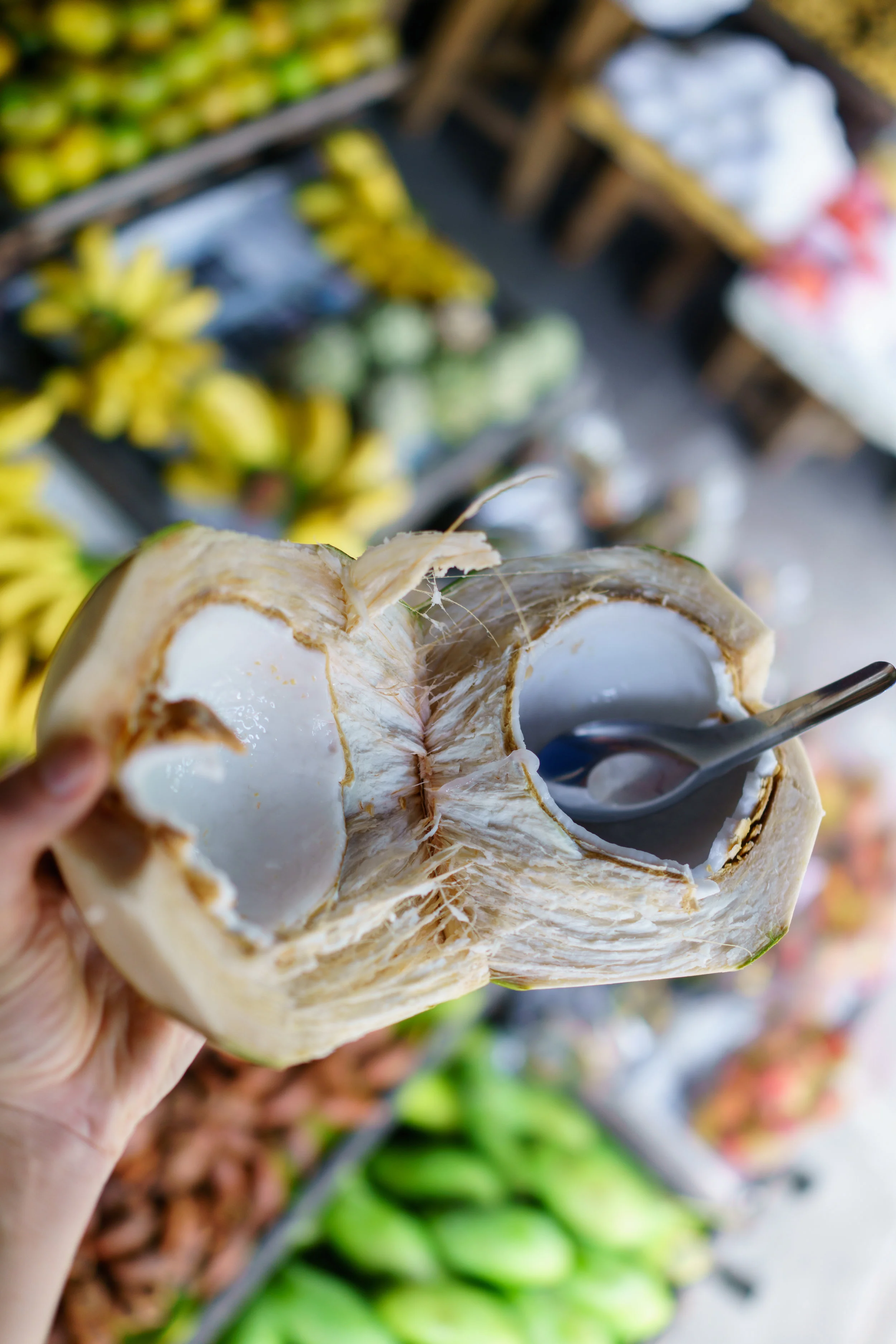 Enjoying the tender flesh of a young coconut