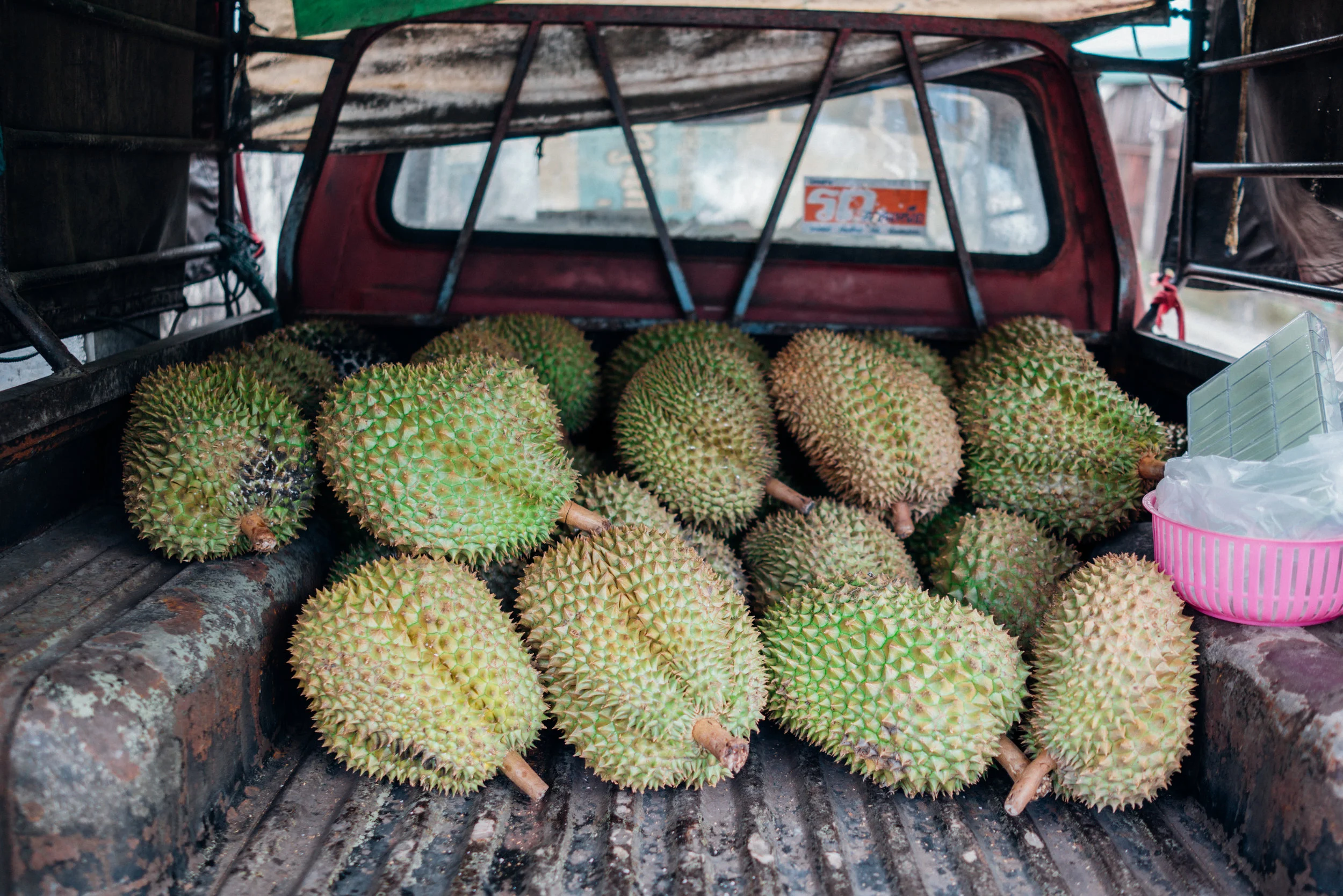 Mon Thong durians are very easy to find all over Thailand