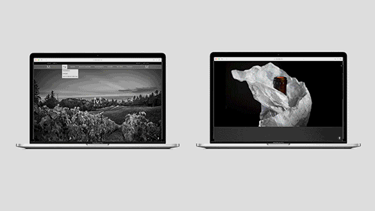 Two MacBook laptops side by side, one displaying a black-and-white landscape photo and the other showing an abstract image of crumpled paper with a small object on it.
