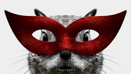 A cat wearing a red masquerade mask with a cracked texture, covering its eyes.