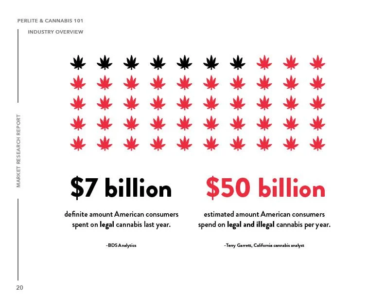 SIL_Cannabis Research Presentation Final_Clean20.jpg