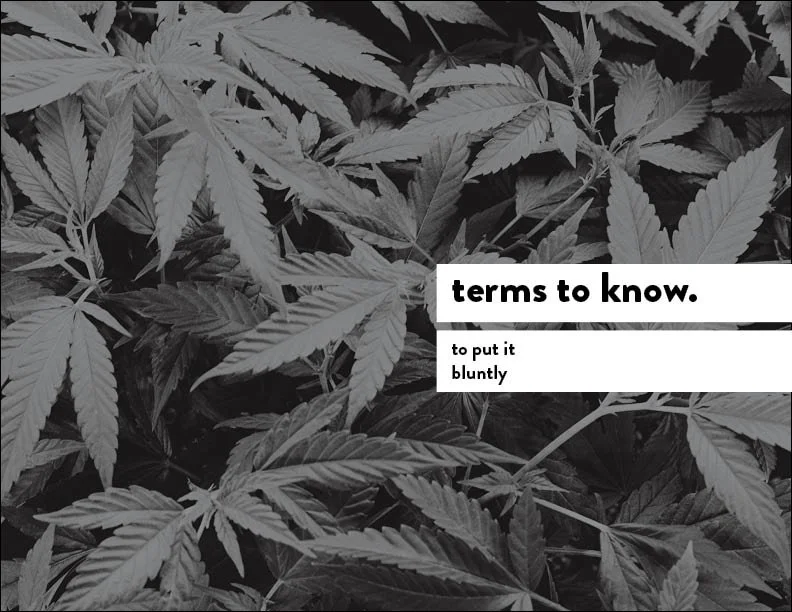 SIL_Cannabis Research Presentation Final_Clean6.jpg
