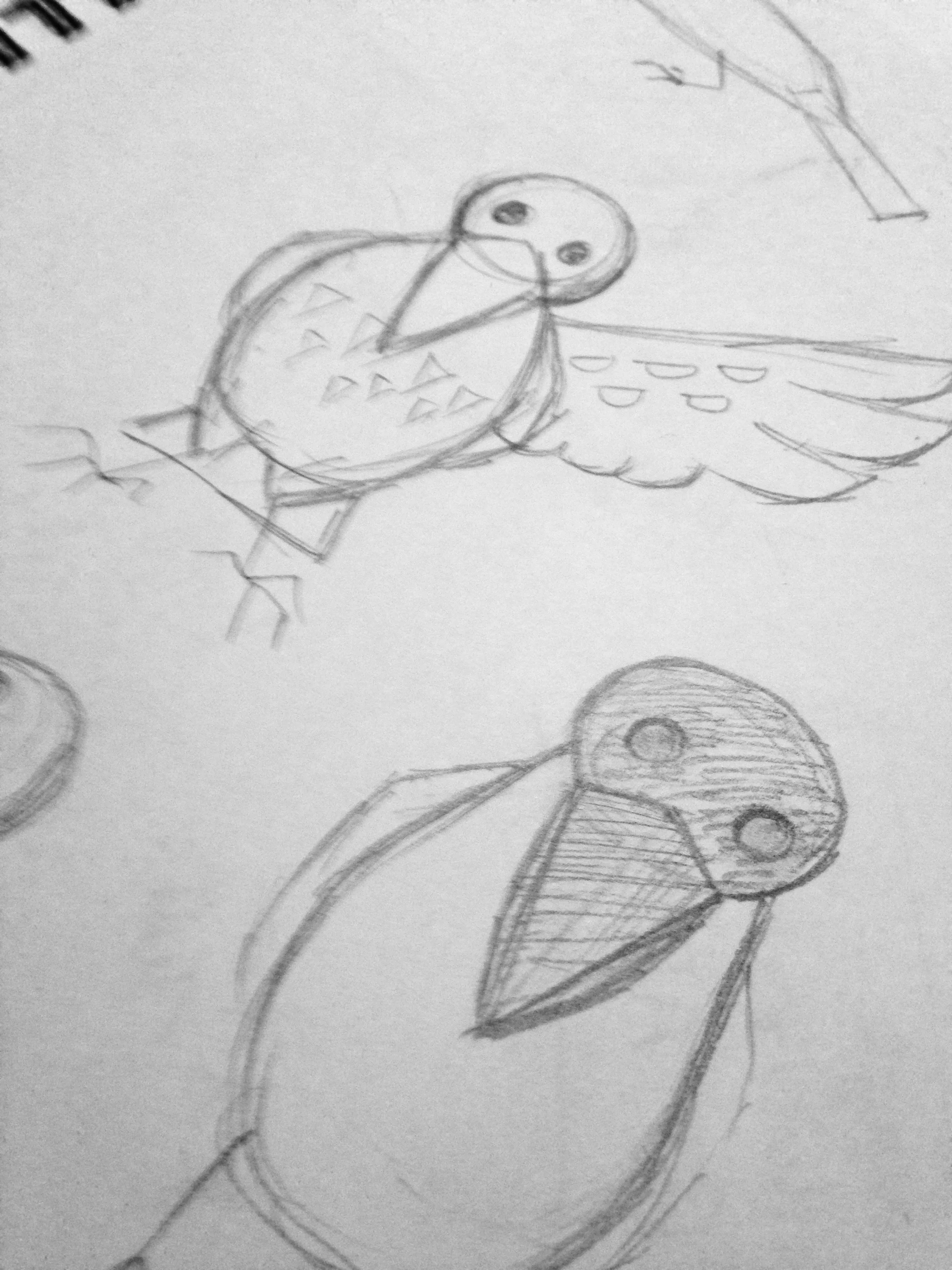 raven1_edit.jpg