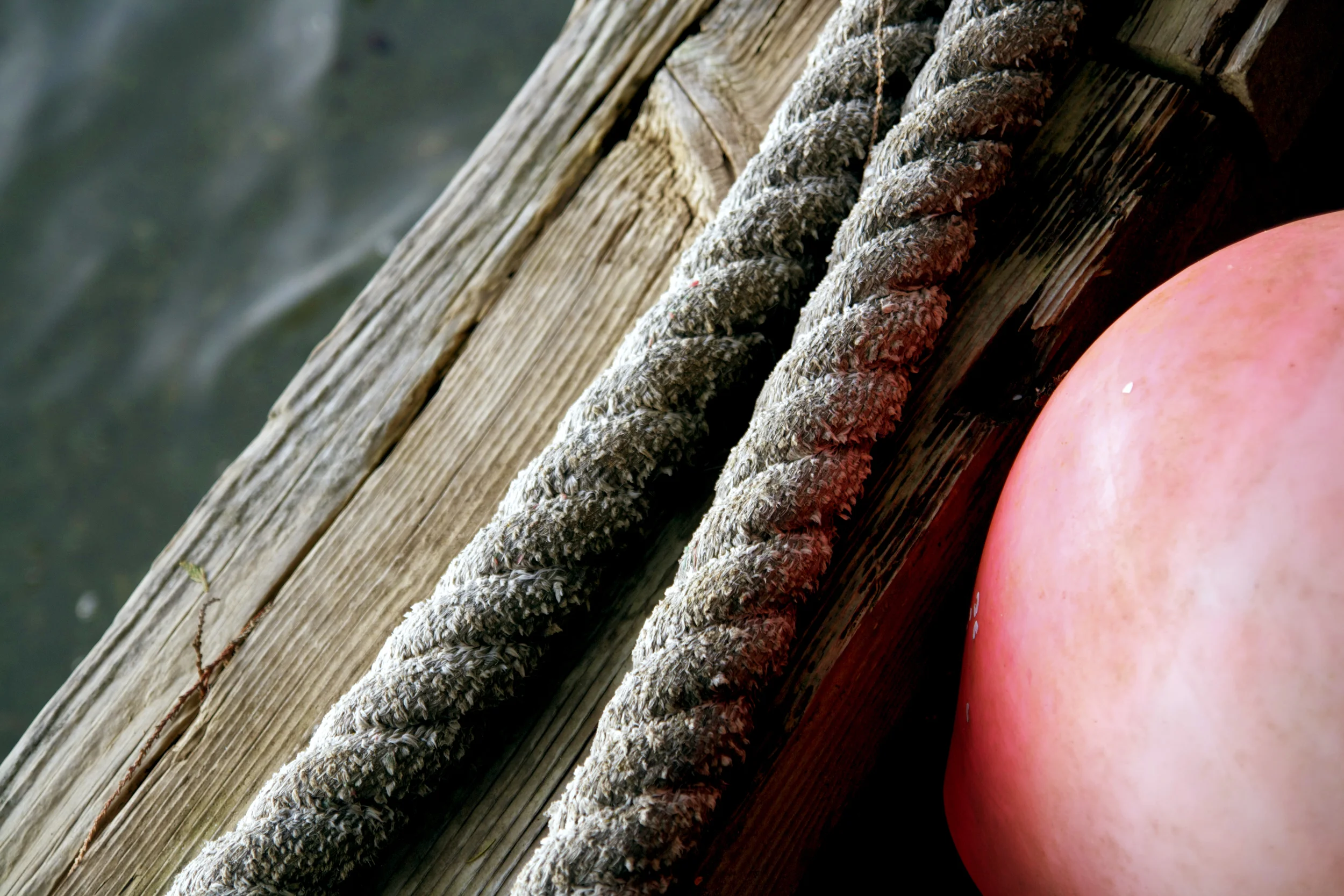 Beached Buoy