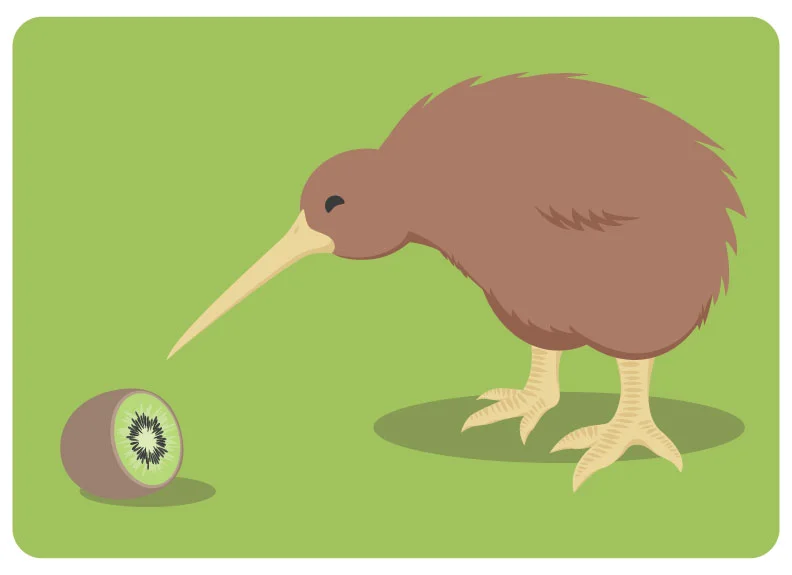 emi_kiwi.jpg