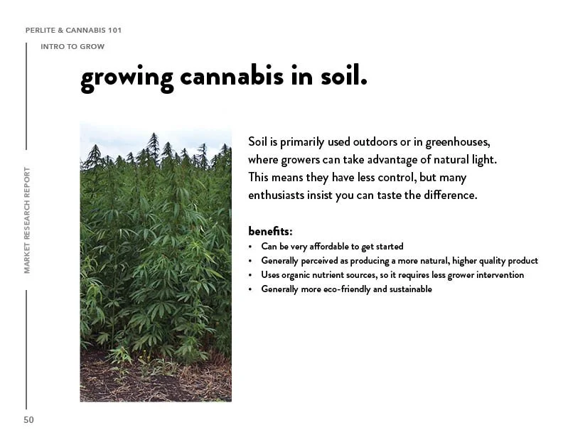 SIL_Cannabis Research Presentation Final_Clean50.jpg