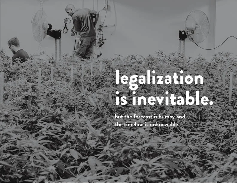 SIL_Cannabis Research Presentation Final_Clean18.jpg