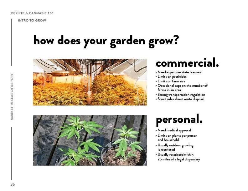 SIL_Cannabis Research Presentation Final_Clean35.jpg