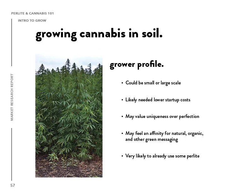 SIL_Cannabis Research Presentation Final_Clean57.jpg