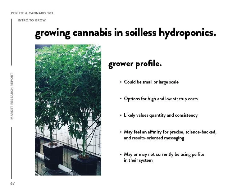 SIL_Cannabis Research Presentation Final_Clean67.jpg