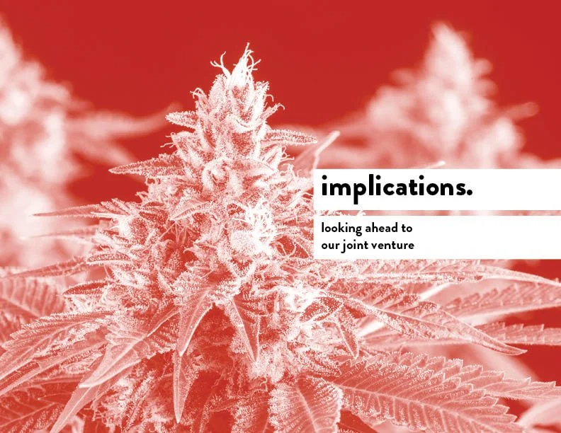 SIL_Cannabis Research Presentation Final_Clean84.jpg