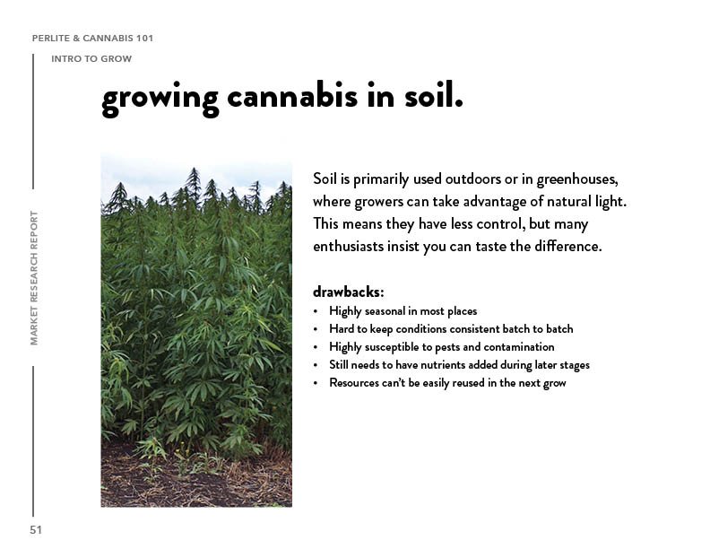 SIL_Cannabis Research Presentation Final_Clean51.jpg