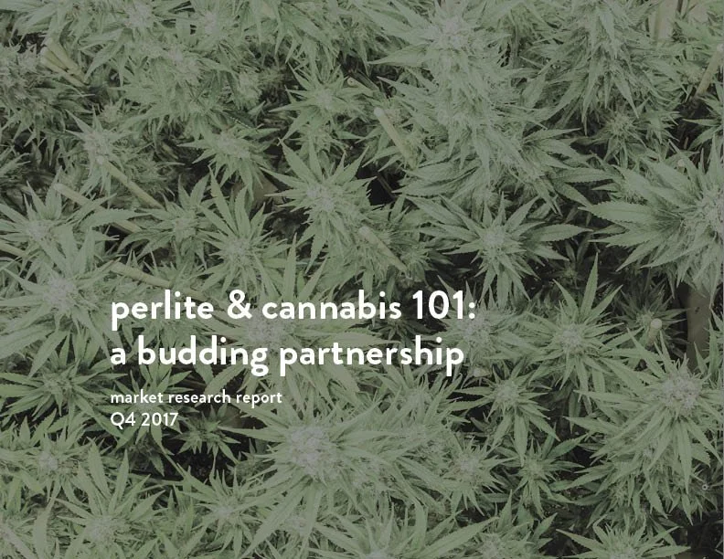 SIL_Cannabis Research Presentation Final_Clean.jpg