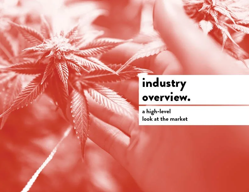 SIL_Cannabis Research Presentation Final_Clean3.jpg