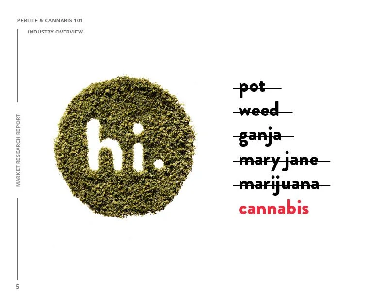 SIL_Cannabis Research Presentation Final_Clean5.jpg