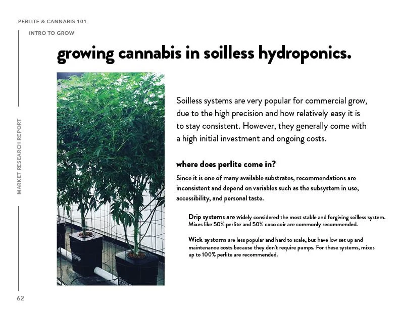 SIL_Cannabis Research Presentation Final_Clean62.jpg