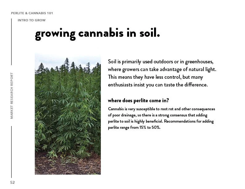 SIL_Cannabis Research Presentation Final_Clean52.jpg