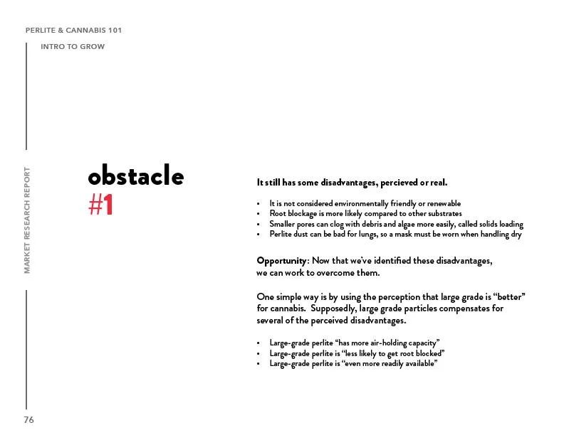 SIL_Cannabis Research Presentation Final_Clean76.jpg