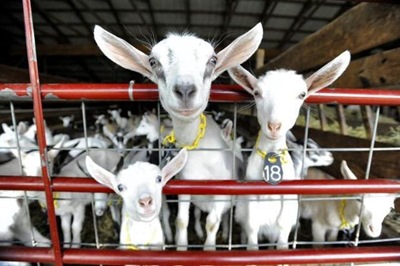  Photo courtesy of the Centre Daily Times