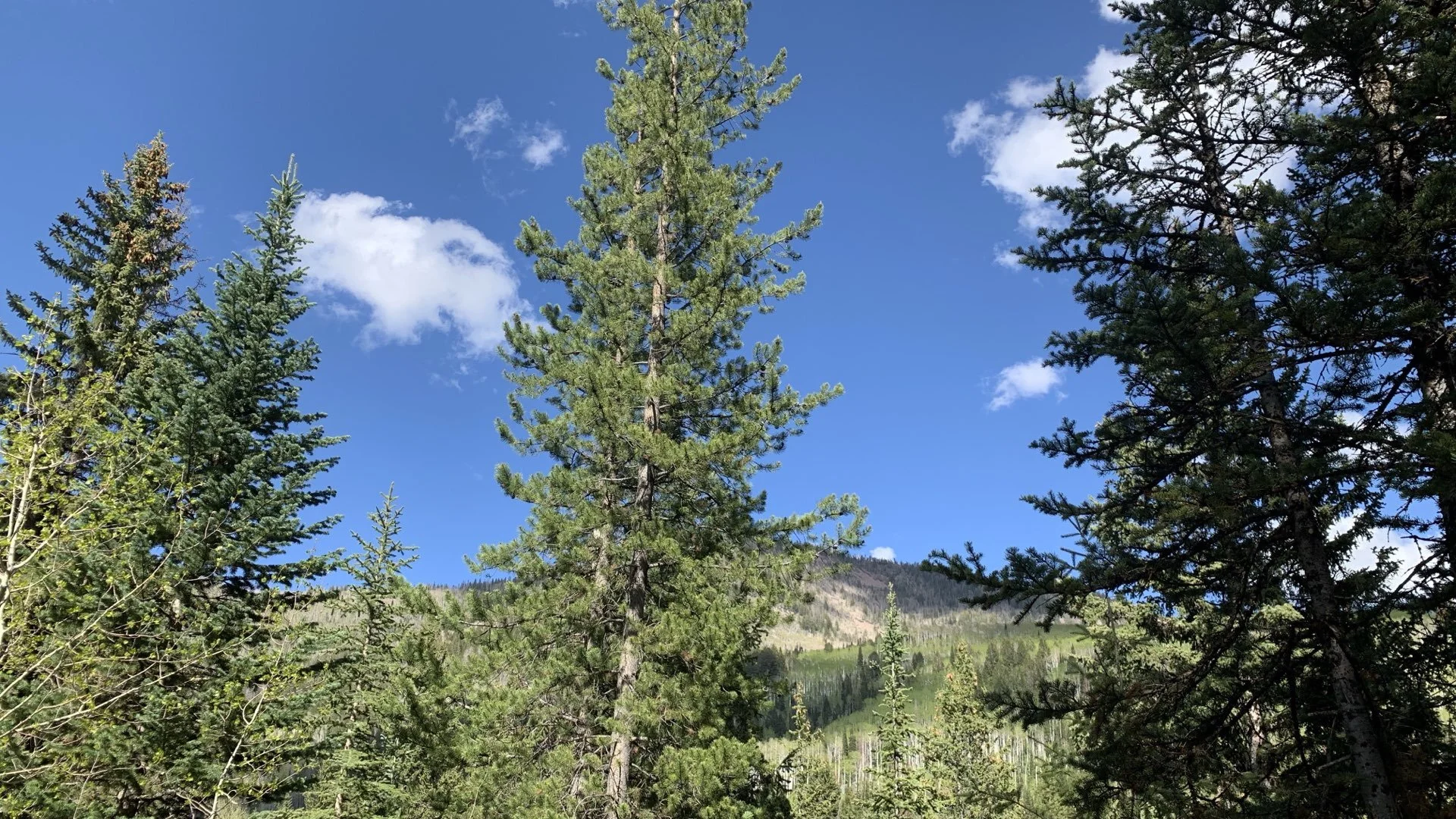 Church & Brunch in the Canyons